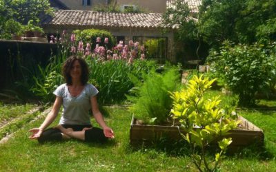 Stage Yoga Iyengar – Mai 2018